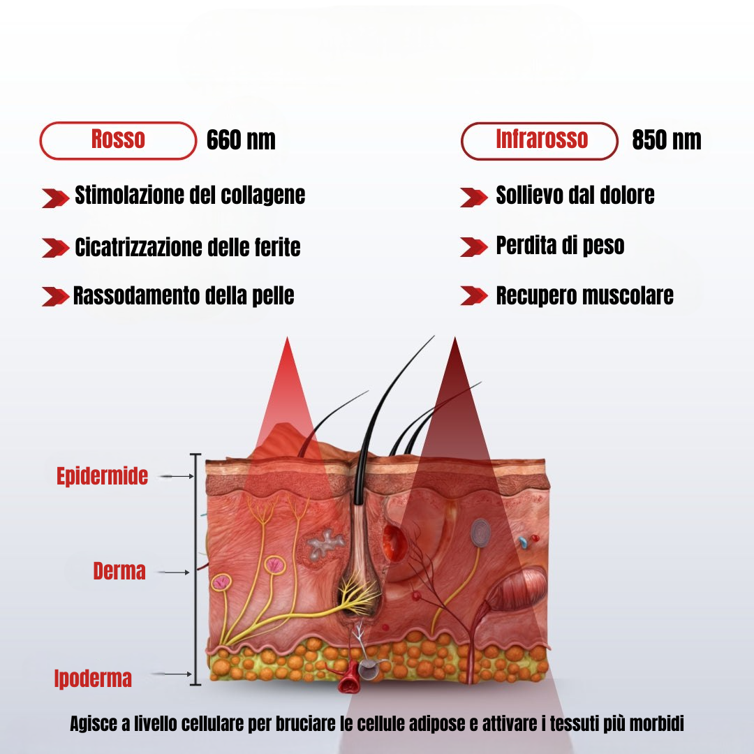 Luminora AuraFLEX Cintura per Terapia con Luce Rossa e Infrarossa
